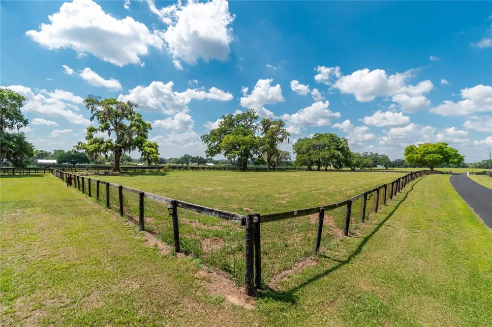 13025 NW GAINESVILLE ROAD Reddick, FL 32686