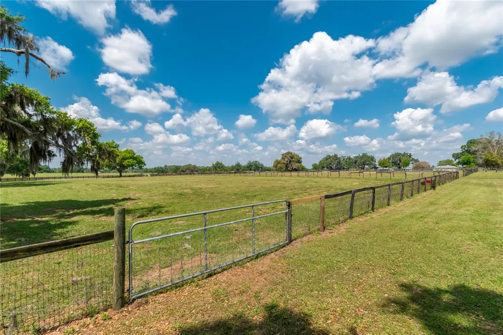 13025 NW GAINESVILLE ROAD Reddick, FL 32686