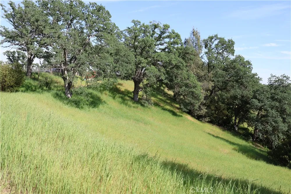 7325 Bluebird Rd. Corning, CA 96021