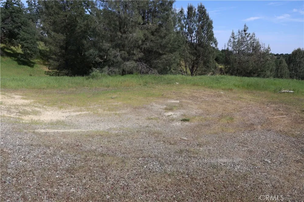 7325 Bluebird Rd. Corning, CA 96021