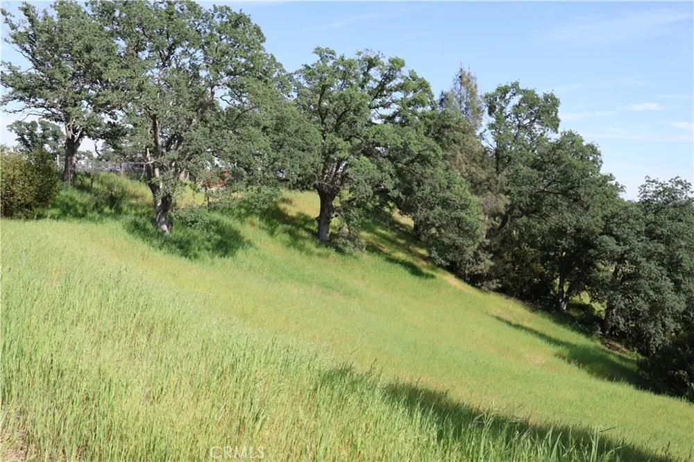 7325 Bluebird Rd. Corning, CA 96021