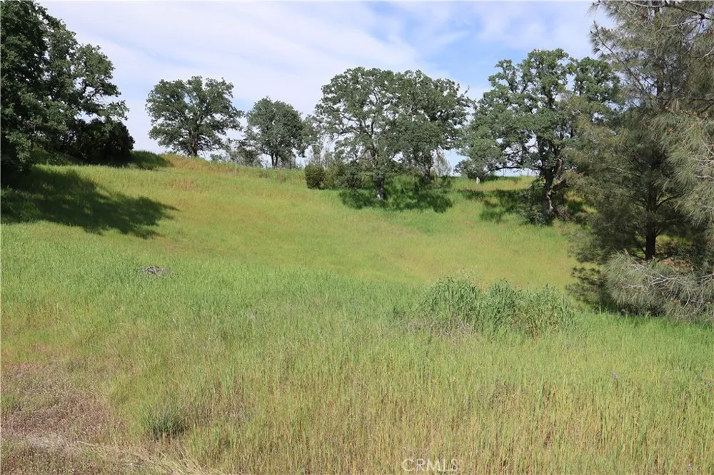7325 Bluebird Rd. Corning, CA 96021