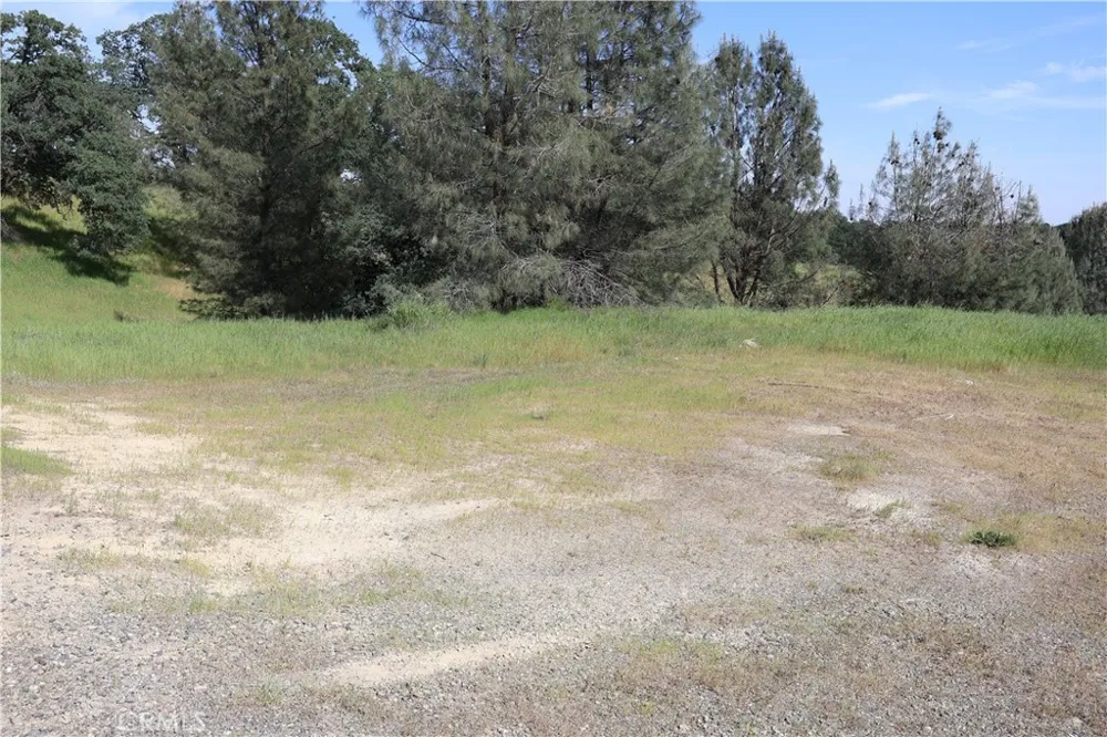 7325 Bluebird Rd. Corning, CA 96021