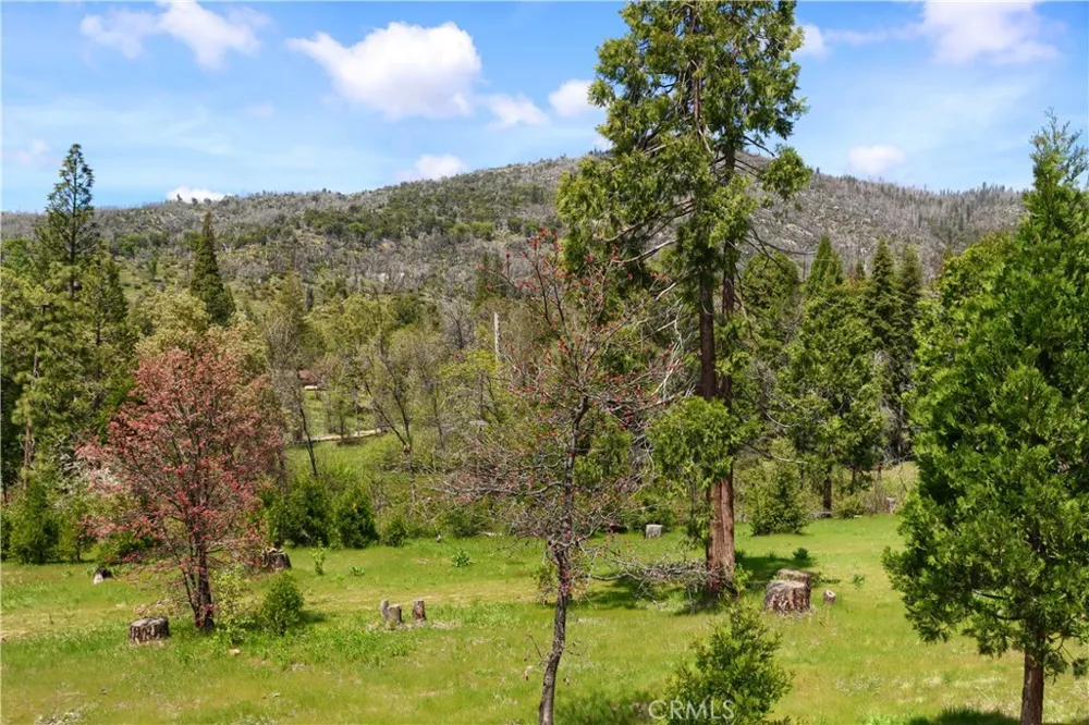 60027 Cascadel S North Fork, CA 93643