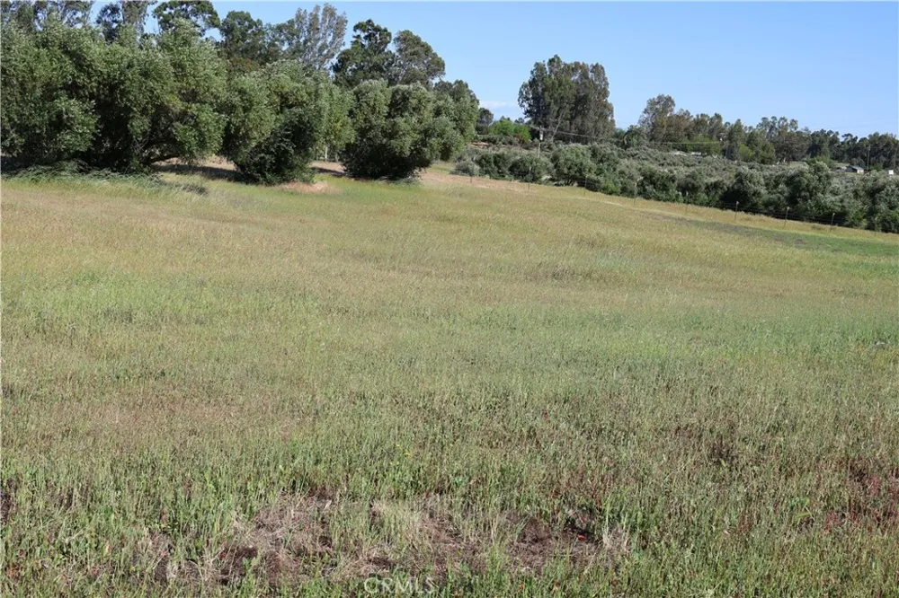 Carona Ave. Corning, CA 96021