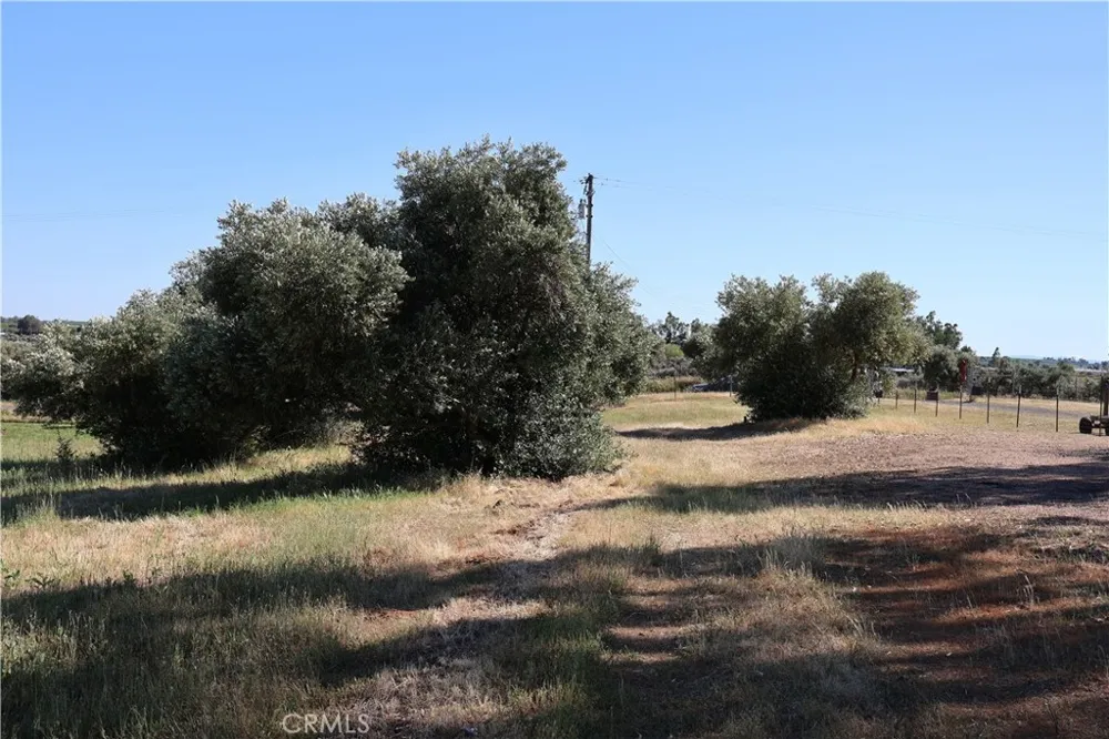 Carona Ave. Corning, CA 96021