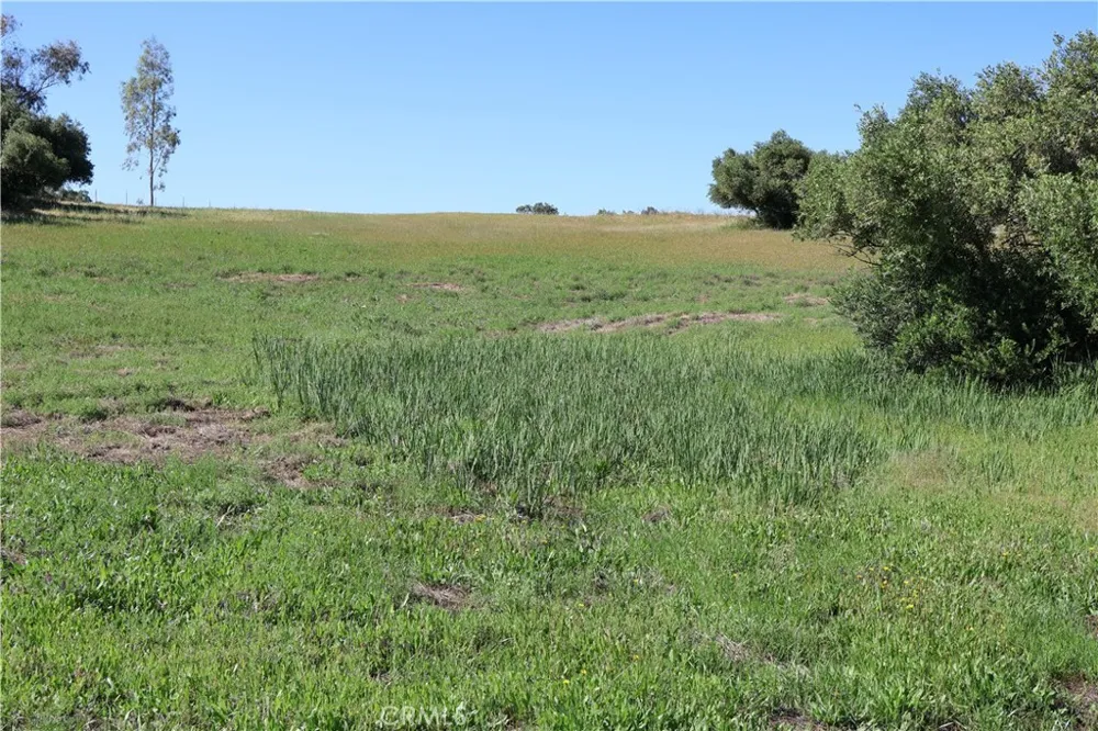Carona Ave. Corning, CA 96021