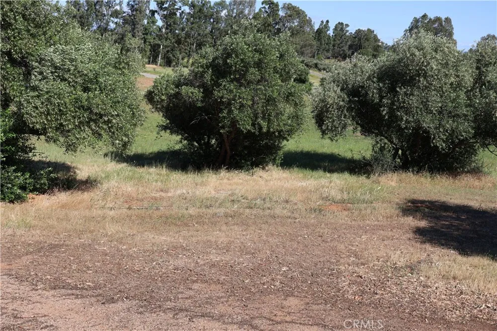 Carona Ave. Corning, CA 96021