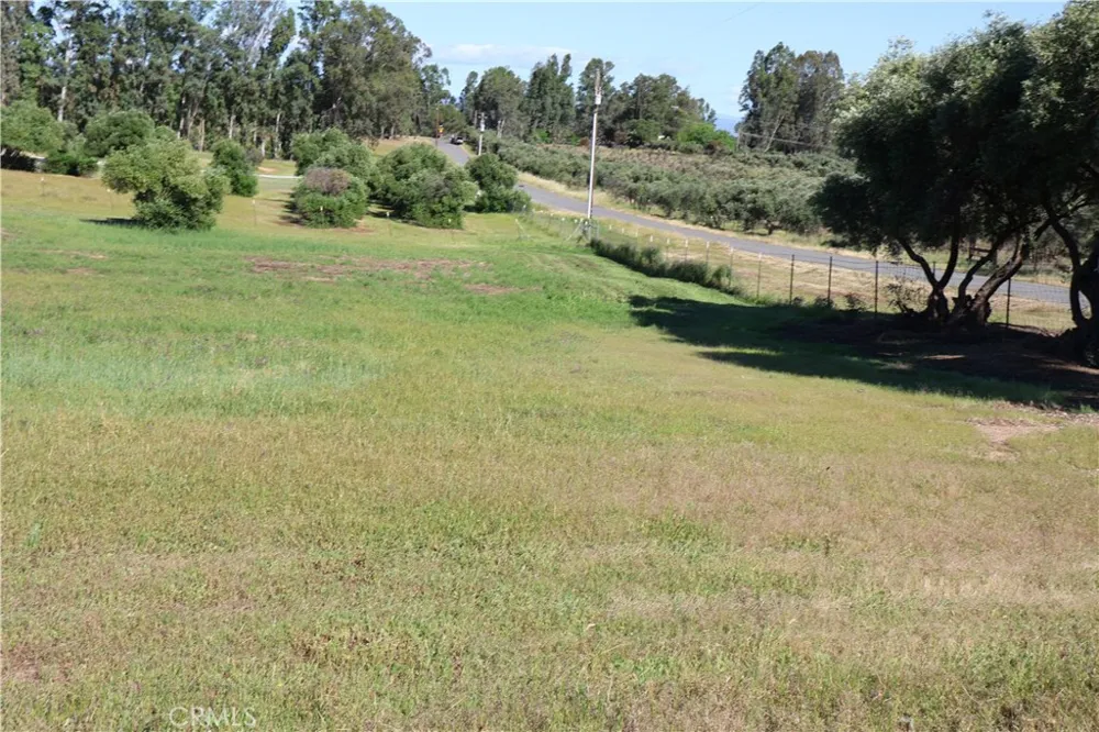 Carona Ave. Corning, CA 96021