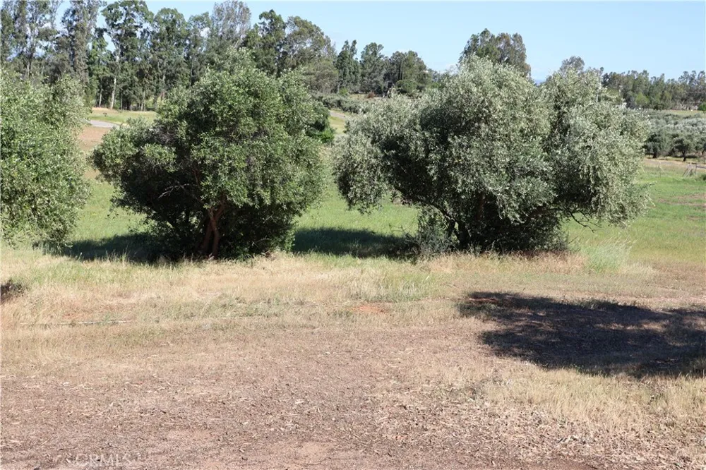 Carona Ave. Corning, CA 96021
