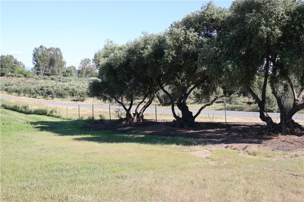 Carona Ave. Corning, CA 96021