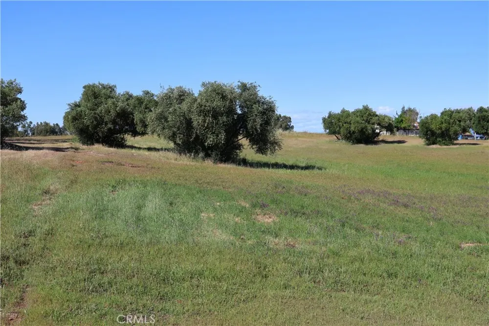 Carona Ave. Corning, CA 96021