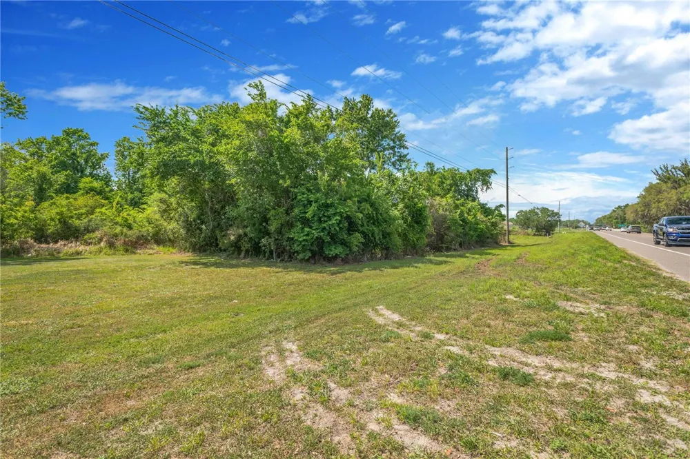 CORNER OF PAUL S BUCHMAN HWY & FORREST PLUM CT Zephyrhills, FL 33540
