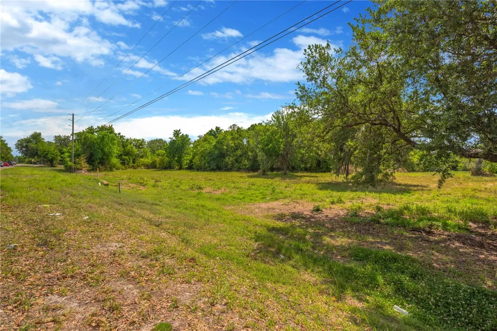 CORNER OF PAUL S BUCHMAN HWY & FORREST PLUM CT Zephyrhills, FL 33540