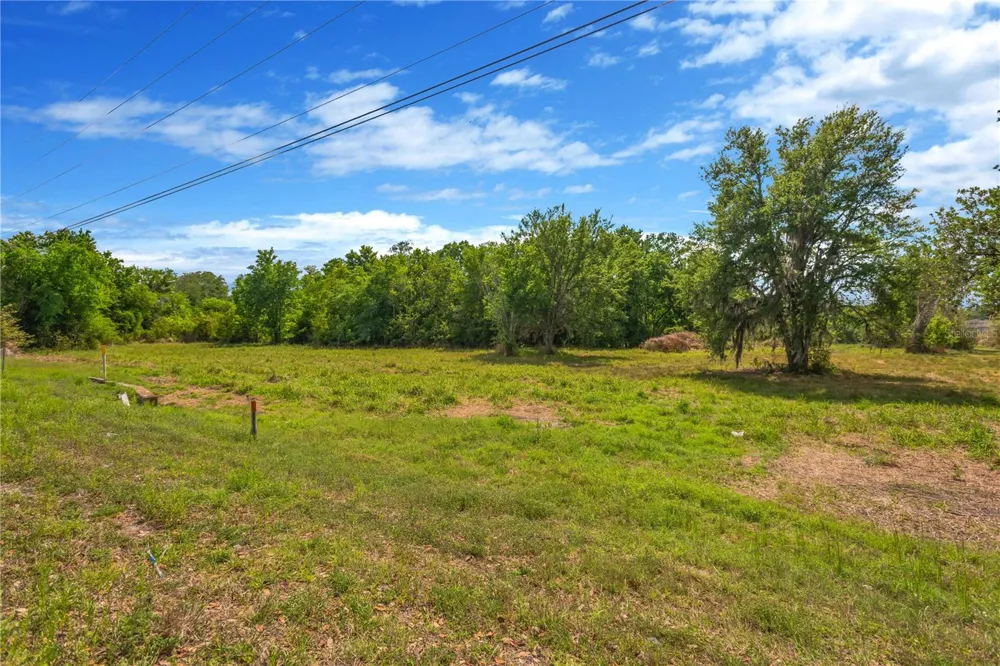 CORNER OF PAUL S BUCHMAN HWY & FORREST PLUM CT Zephyrhills, FL 33540
