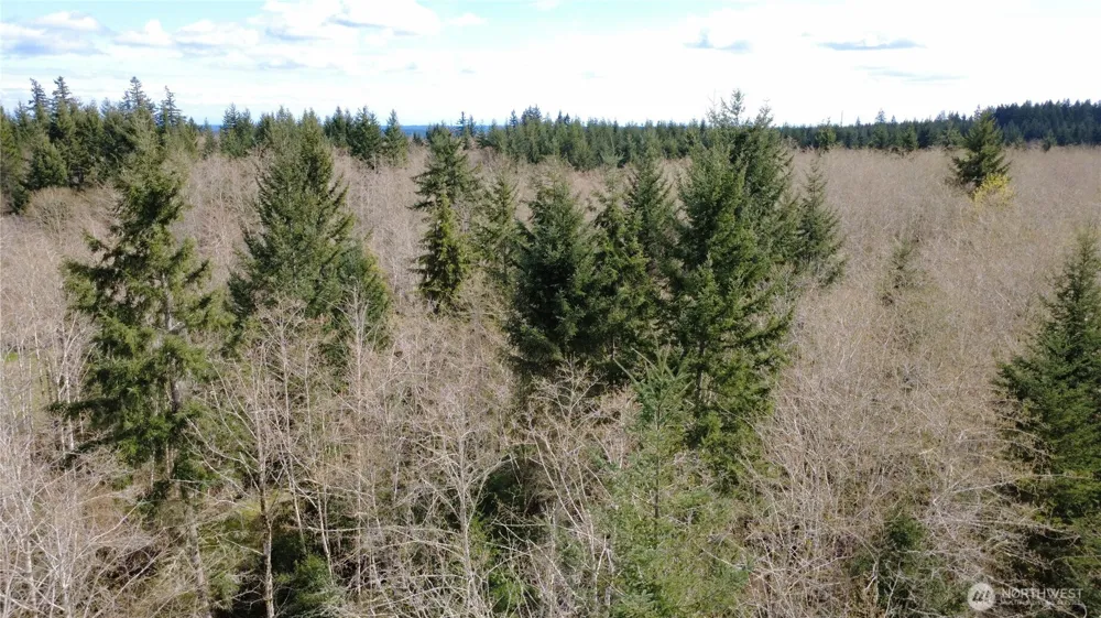 1 XXXX Blacktail Court Quilcene, WA 98376
