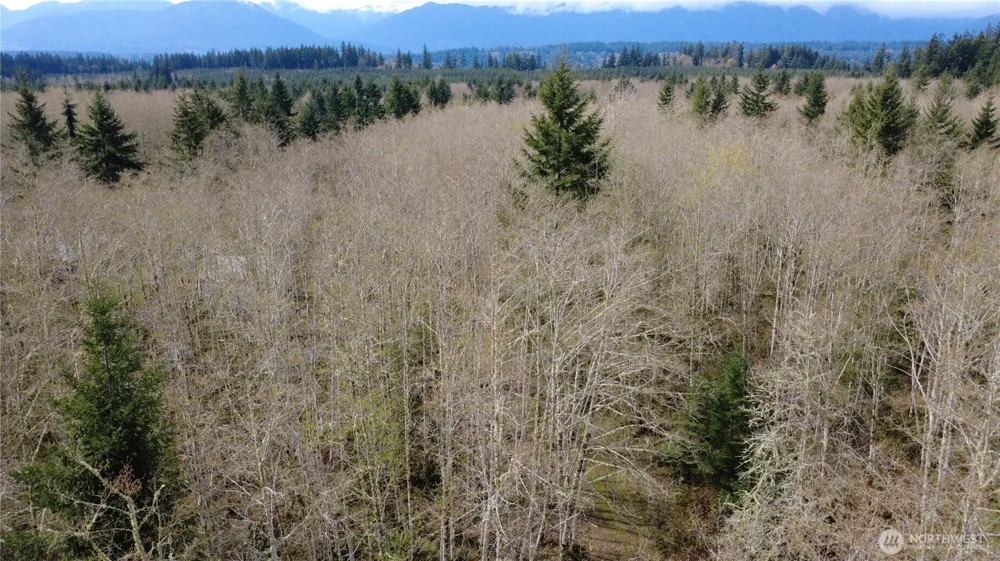 1 XXXX Blacktail Court Quilcene, WA 98376