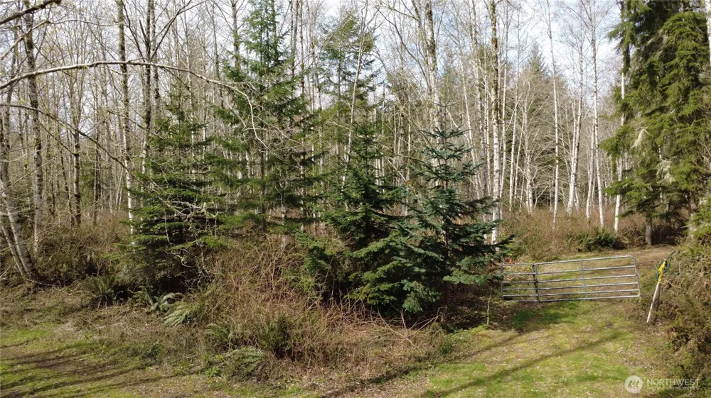 1 XXXX Blacktail Court Quilcene, WA 98376