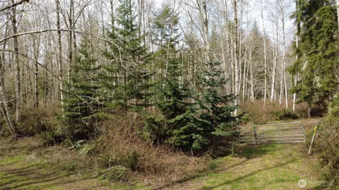 1 XXXX Blacktail Court
