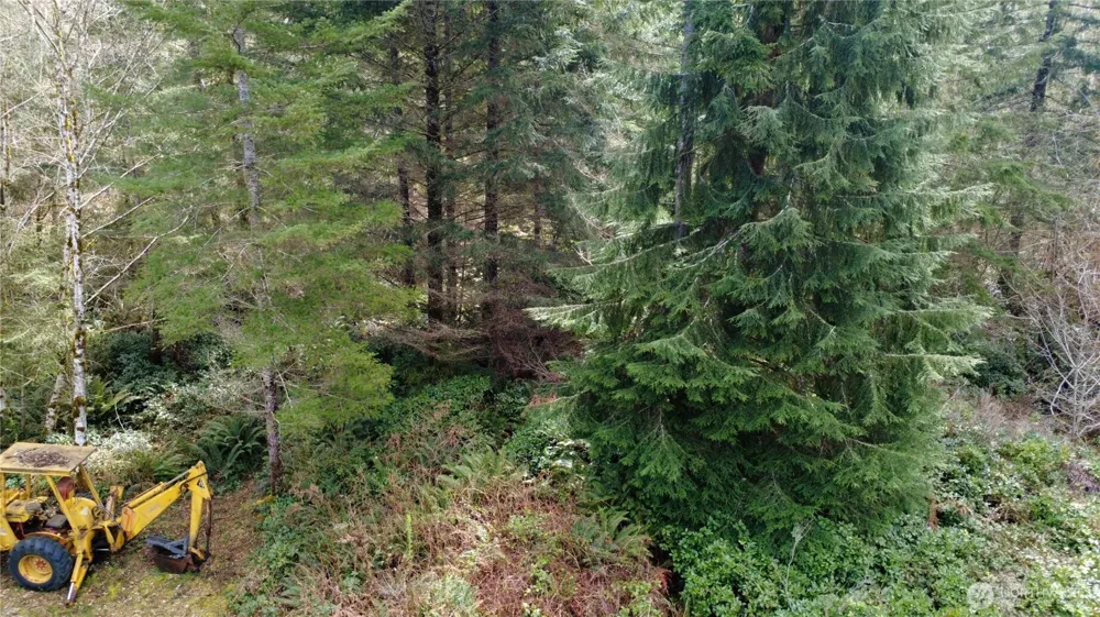 1 XXXX Blacktail Court Quilcene, WA 98376