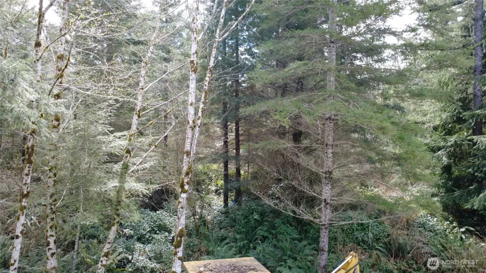 1 XXXX Blacktail Court Quilcene, WA 98376