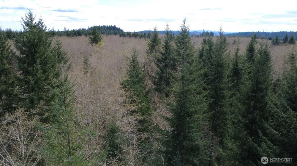 1 XXXX Blacktail Court Quilcene, WA 98376