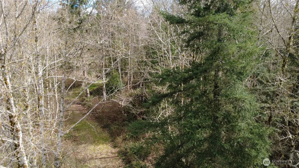 1 XXXX Blacktail Court Quilcene, WA 98376