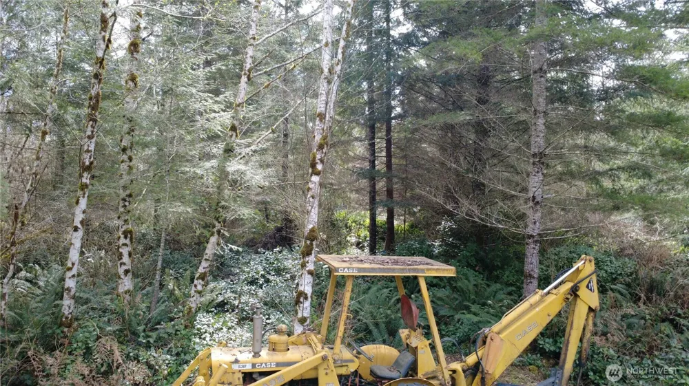 1 XXXX Blacktail Court Quilcene, WA 98376
