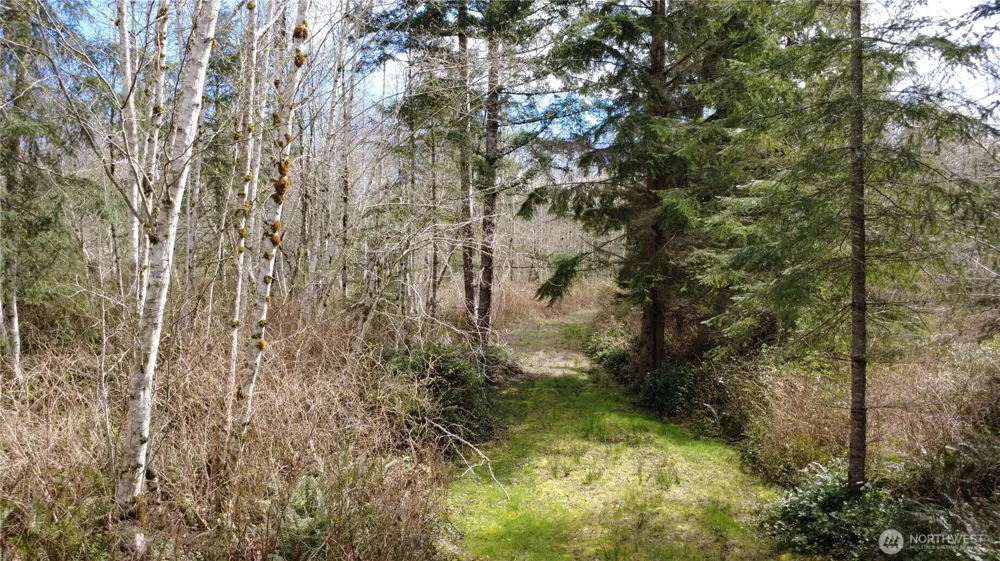 1 XXXX Blacktail Court Quilcene, WA 98376