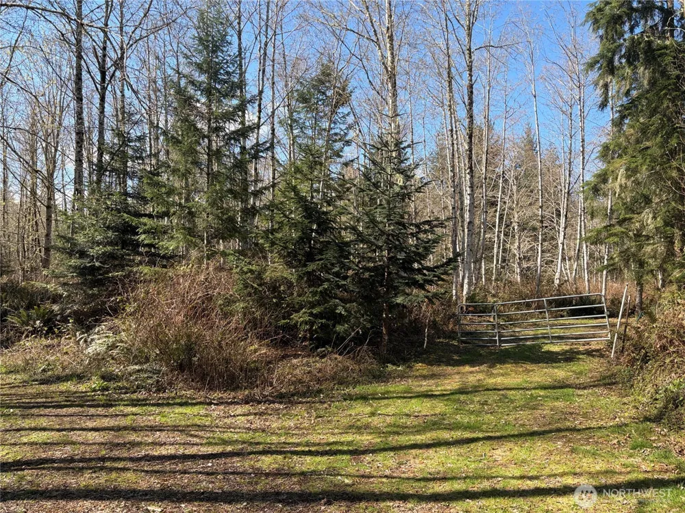 1 XXXX Blacktail Court Quilcene, WA 98376