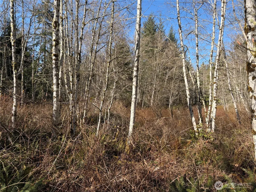 1 XXXX Blacktail Court Quilcene, WA 98376