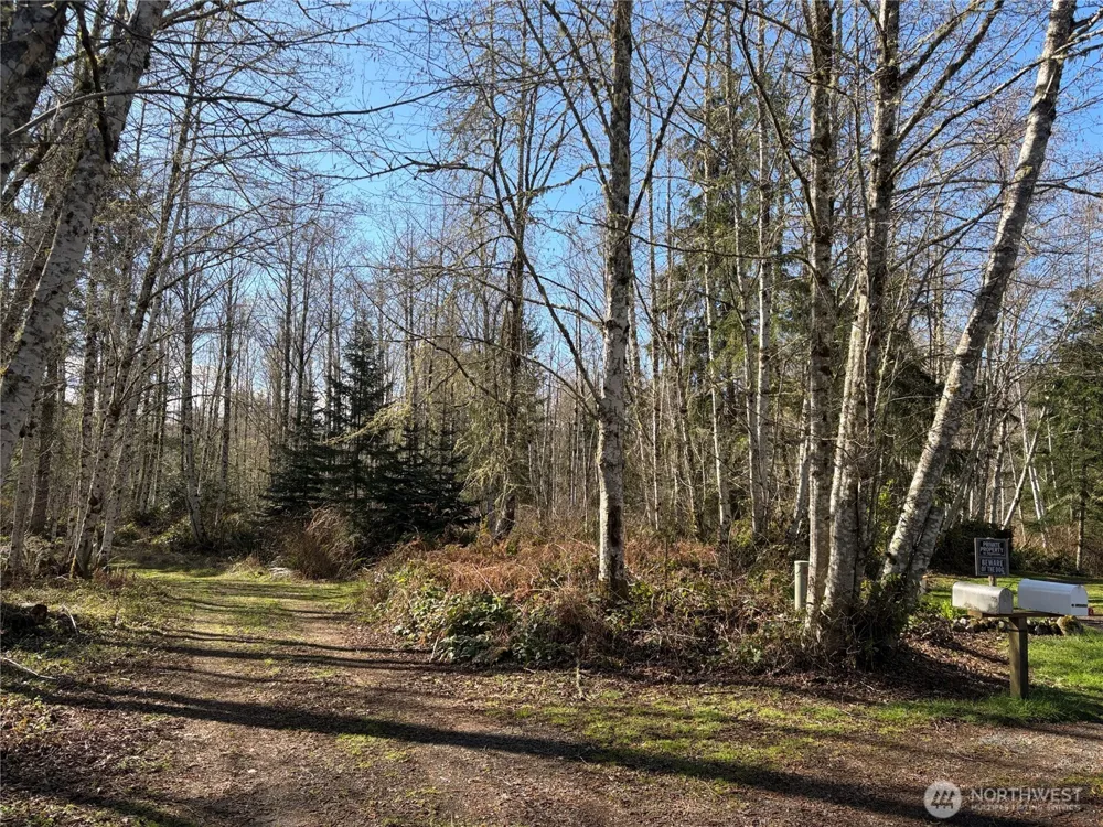 1 XXXX Blacktail Court Quilcene, WA 98376