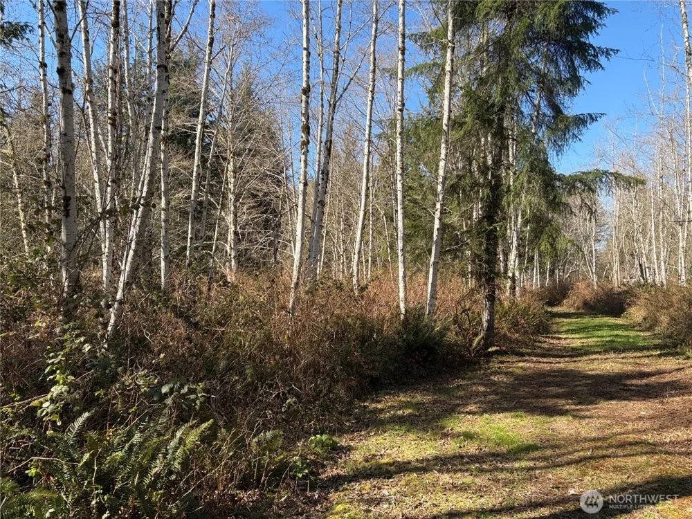 1 XXXX Blacktail Court Quilcene, WA 98376