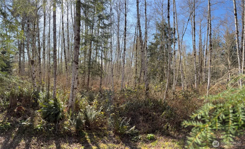 1 XXXX Blacktail Court Quilcene, WA 98376