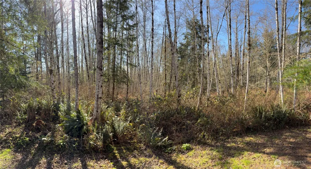 1 XXXX Blacktail Court Quilcene, WA 98376