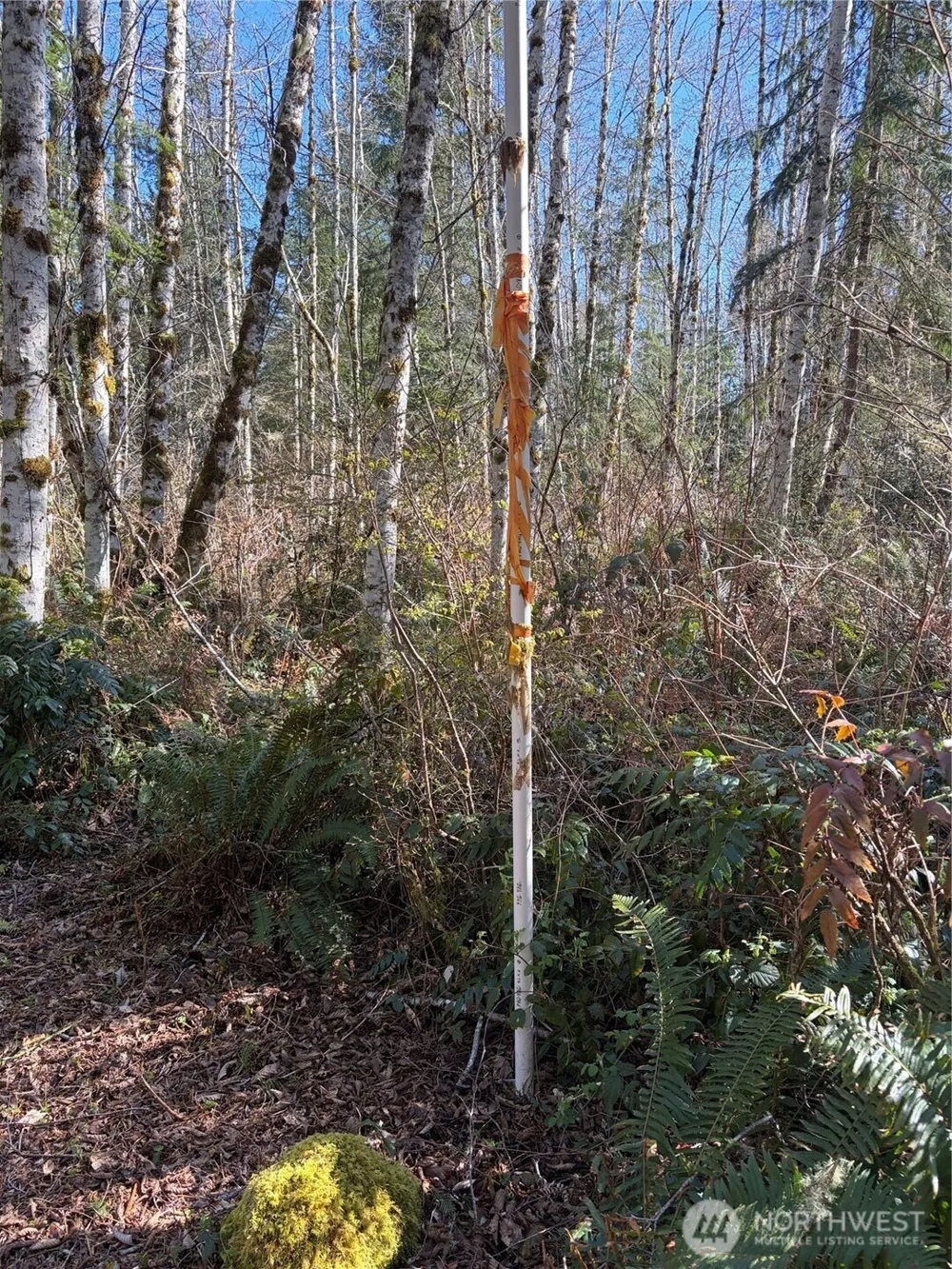 1 XXXX Blacktail Court Quilcene, WA 98376