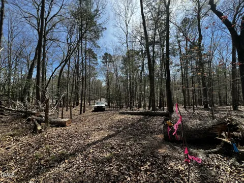 294 The Glades