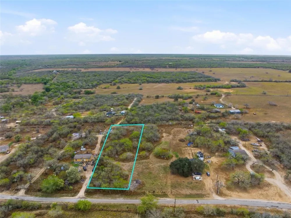 266 COUNTY RD 362 Sandia, TX 78383