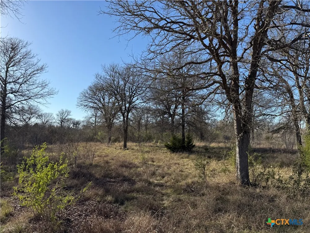 Country Club Drive Seguin, TX 78155
