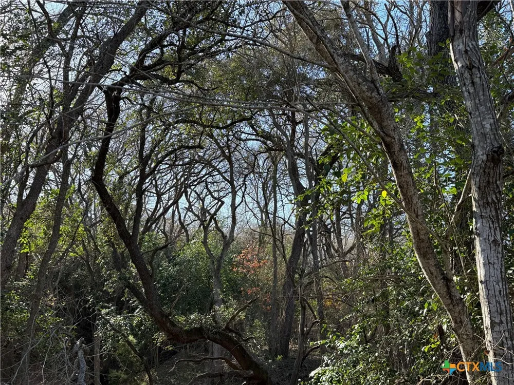 Country Club Drive Seguin, TX 78155