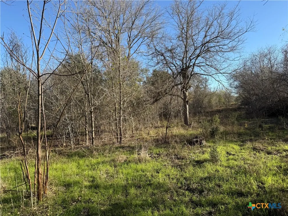 Country Club Drive Seguin, TX 78155