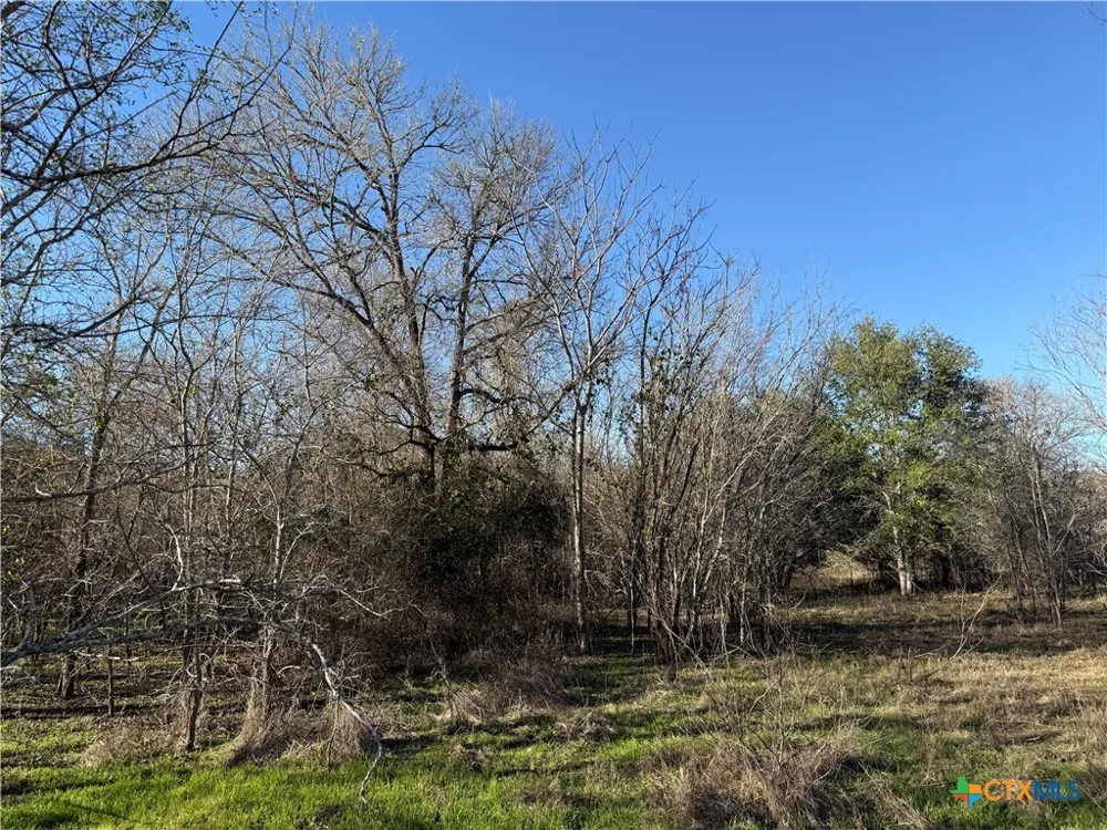 Country Club Drive Seguin, TX 78155