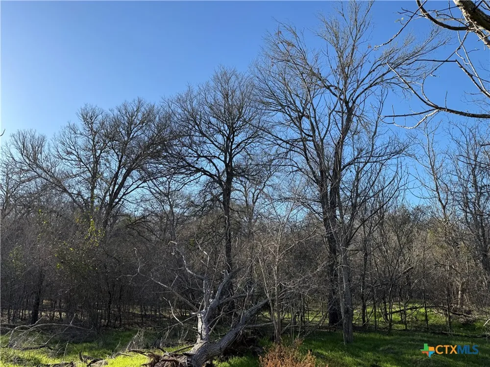 Country Club Drive Seguin, TX 78155