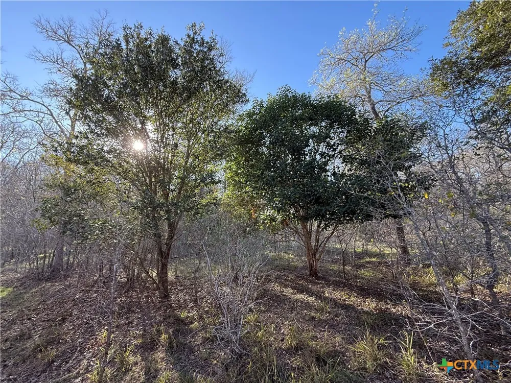 Country Club Drive Seguin, TX 78155