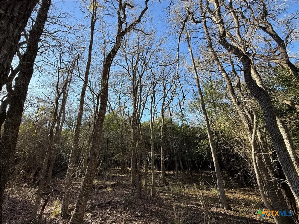 Country Club Drive Seguin, TX 78155