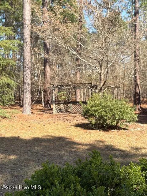 256 Shaver Lane Jackson Springs, NC 27281