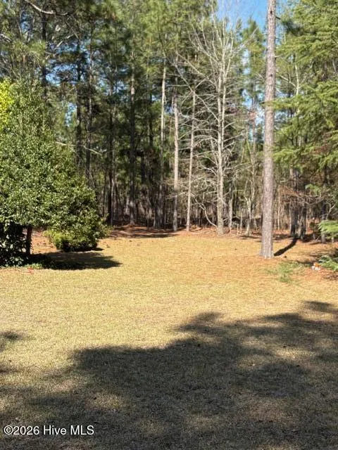 256 Shaver Lane Jackson Springs, NC 27281