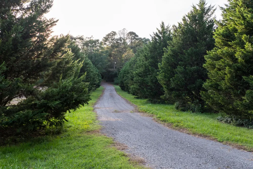 4340 Holland Chattoogaville Road Lyerly, GA 30730