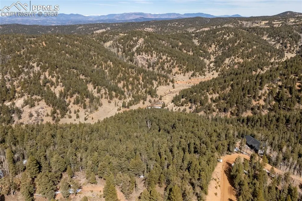 107 Haven Road Divide, CO 80814