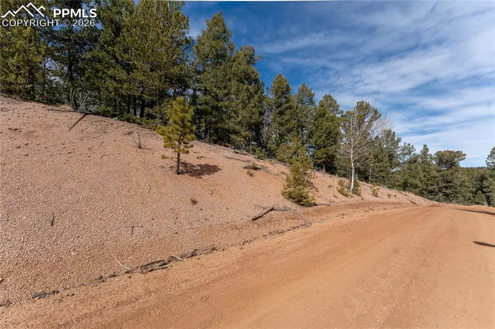 107 Haven Road Divide, CO 80814